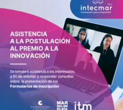 Asistencia a la Postulación al Premio a la Innovación 2026